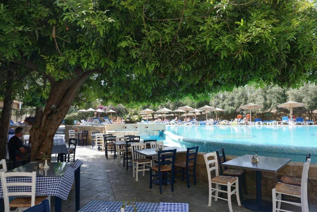 Alex'S Vacation Suite - 100M From The Beach - 6 Guests Paphos Exterior foto